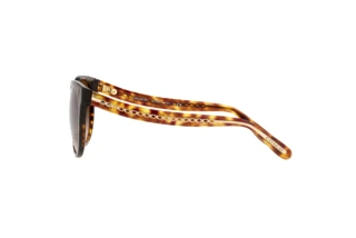 Vue latérale Coach C6181 (HC8321 - 51203B)