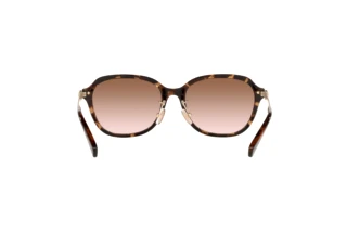 Vue arrière Coach C6199 (HC8332D - 512013)