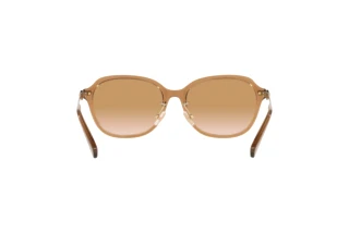 Vue arrière Coach C6199 (HC8332D - 565413)