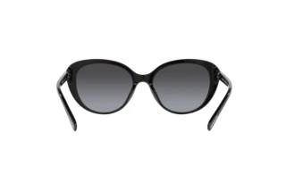 Vue arrière Coach CD479 (HC8348U - 50028G)