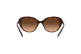 Vue arrière Coach CD479 (HC8348U - 512074)