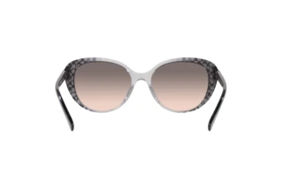 Vue arrière Coach CD479 (HC8348U - 57103B)