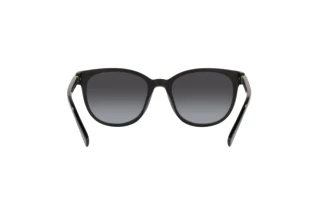 Vue arrière Coach CD478 (HC8350U - 50028G)