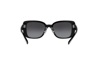 Vue arrière Coach CD472 (HC8352 - 50028G)