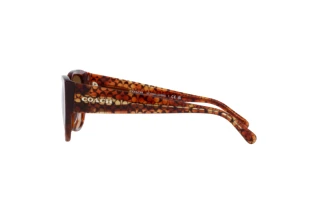 Vue latérale Coach CH563 (HC8362U - 574174)