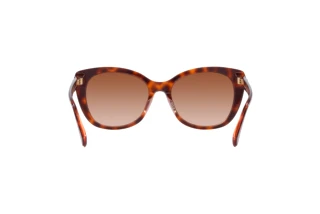 Vue arrière Coach CH566 (HC8365U - 574413)