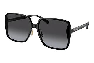 Coach HC8368D 50028G Grey GradientBlack