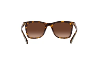 Vue arrière Coach CH561 (HC8374U - 5120T5)