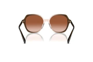 Vue arrière Coach CL925 (HC8377U - 540013)