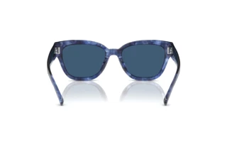 Vue arrière Coach CL920 (HC8379U - 583755)