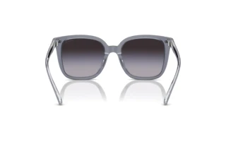 Vue arrière Coach CL918 (HC8381U - 57808G)