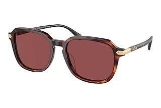 Coach HC8383U 579875 VioletDark Tortoise/Caramel Tortoise