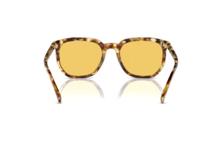 Vue arrière Coach CL911 (HC8384U - 504585)