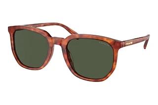 Coach HC8384U 577482 GreenCaramel Tortoise