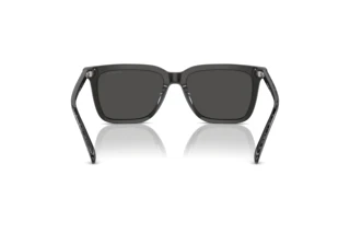 Vue arrière Coach CL910 (HC8385U - 579387)