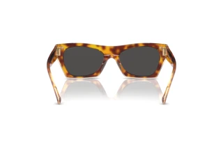 Vue arrière Coach CL917 (HC8389U - 575687)