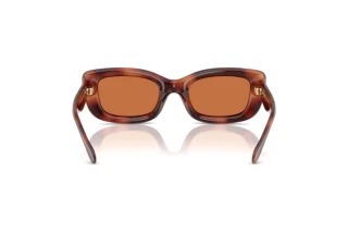 Vue arrière Coach CR610 (HC8390U - 577473)