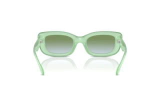 Vue arrière Coach CR610 (HC8390U - 5807I7)