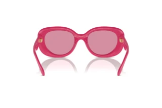 Vue arrière Coach CR609 (HC8391U - 58069L)