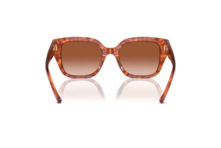 Vue arrière Coach CR611 (HC8392U - 577413)