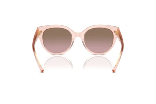 Vue arrière Coach CR612 (HC8393U - 566814)