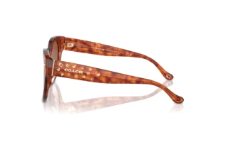 Vue latérale Coach CR612 (HC8393U - 577413)