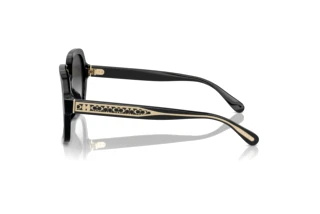 Vue latérale Coach CR614 (HC8395U - 50023C)