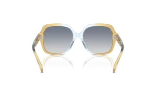 Vue arrière Coach CR614 (HC8395U - 581435)