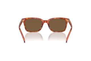 Vue arrière Coach CR630 (HC8398U - 577473)