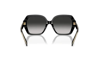 Vue arrière Coach CR615 (HC8404U - 50023C)