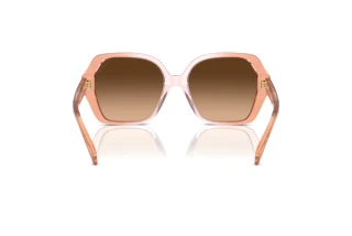 Vue arrière Coach CR615 (HC8404U - 581274)