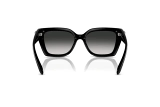 Vue arrière Coach CW195 (HC8408U - 50023C)