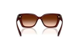 Vue arrière Coach CW195 (HC8408U - 584174)