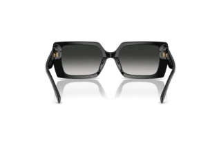 Vue arrière Coach CW224 (HC8409U - 50023C)