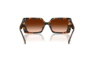 Vue arrière Coach CW224 (HC8409U - 584474)