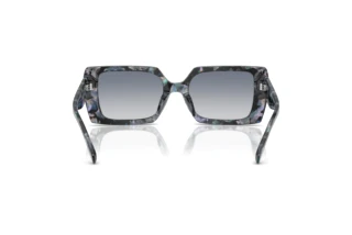 Vue arrière Coach CW224 (HC8409U - 584535)