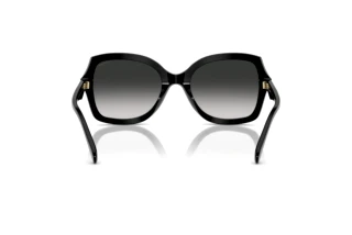 Vue arrière Coach CW225 (HC8410U - 50023C)