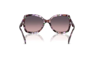 Vue arrière Coach CW225 (HC8410U - 584346)