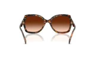 Vue arrière Coach CW225 (HC8410U - 584474)