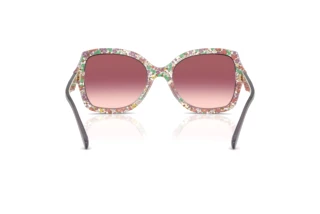 Vue arrière Coach CW225 (HC8410U - 58957W)