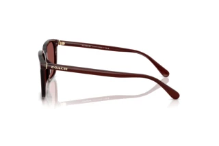 Vue latérale Coach CW405 (HC8411U - 585075)