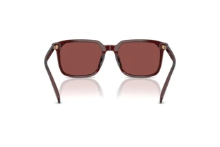 Vue arrière Coach CW405 (HC8411U - 585075)