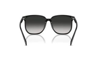 Vue arrière Coach CW419 (HC8413BD - 50023C)