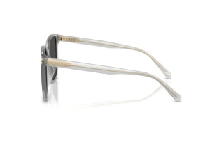 Vue latérale Coach CW419 (HC8413BD - 561487)