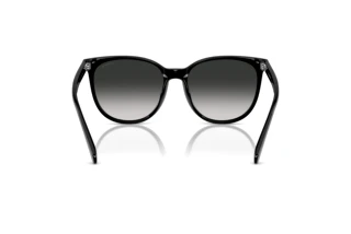 Vue arrière Coach CW428 (HC8414BD - 50023C)