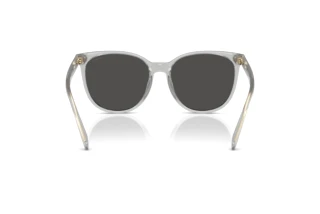 Vue arrière Coach CW428 (HC8414BD - 561487)