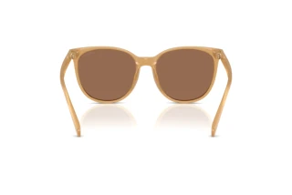 Vue arrière Coach CW428 (HC8414BD - 585473)