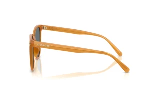 Vue latérale Coach CW428 (HC8414BD - 585580)