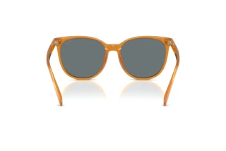 Vue arrière Coach CW428 (HC8414BD - 585580)