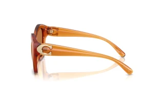 Vue latérale Coach CAD31 (HC8421U - 564773)